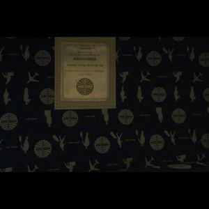 Vintage Pan Am flight bag never used